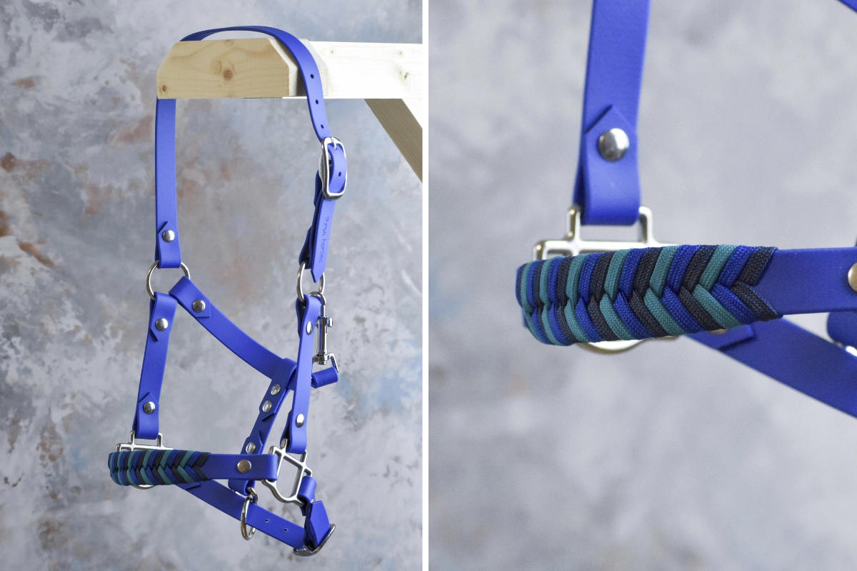 Licol plat en biothane bleu