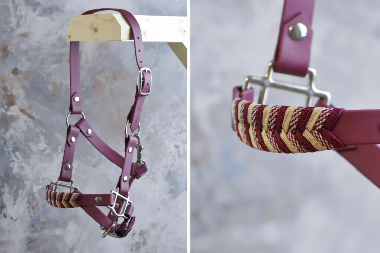 Licol Bordeaux – Gamme Camaïeu – Taille Mini-shetland