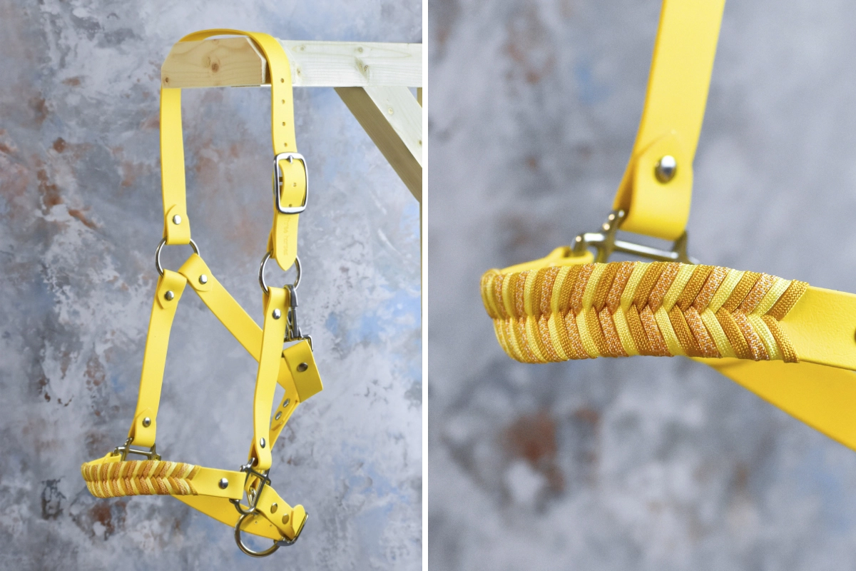 Licol plat en biothane jaune Licol plat en biothane jaune