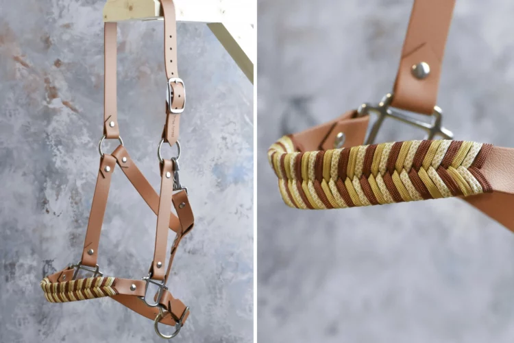 Licol Marron clair – Gamme Camaïeu – Taille Cheval