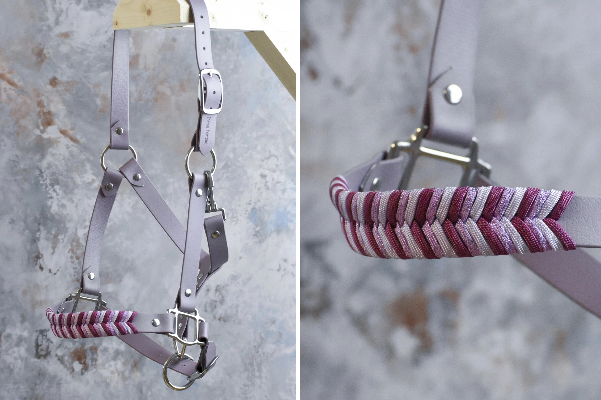 Licol plat en biothane mauve Licol plat en biothane mauve