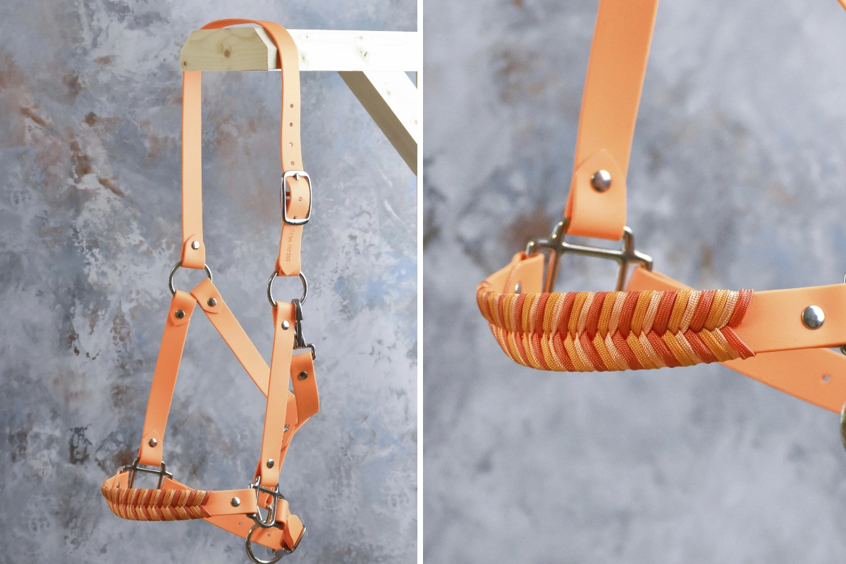 Licol plat en biothane orange Licol plat en biothane orange