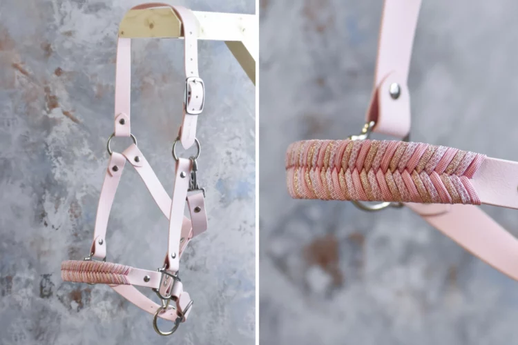 Licol Rose ballerine – Gamme Camaïeu – Taille Cob