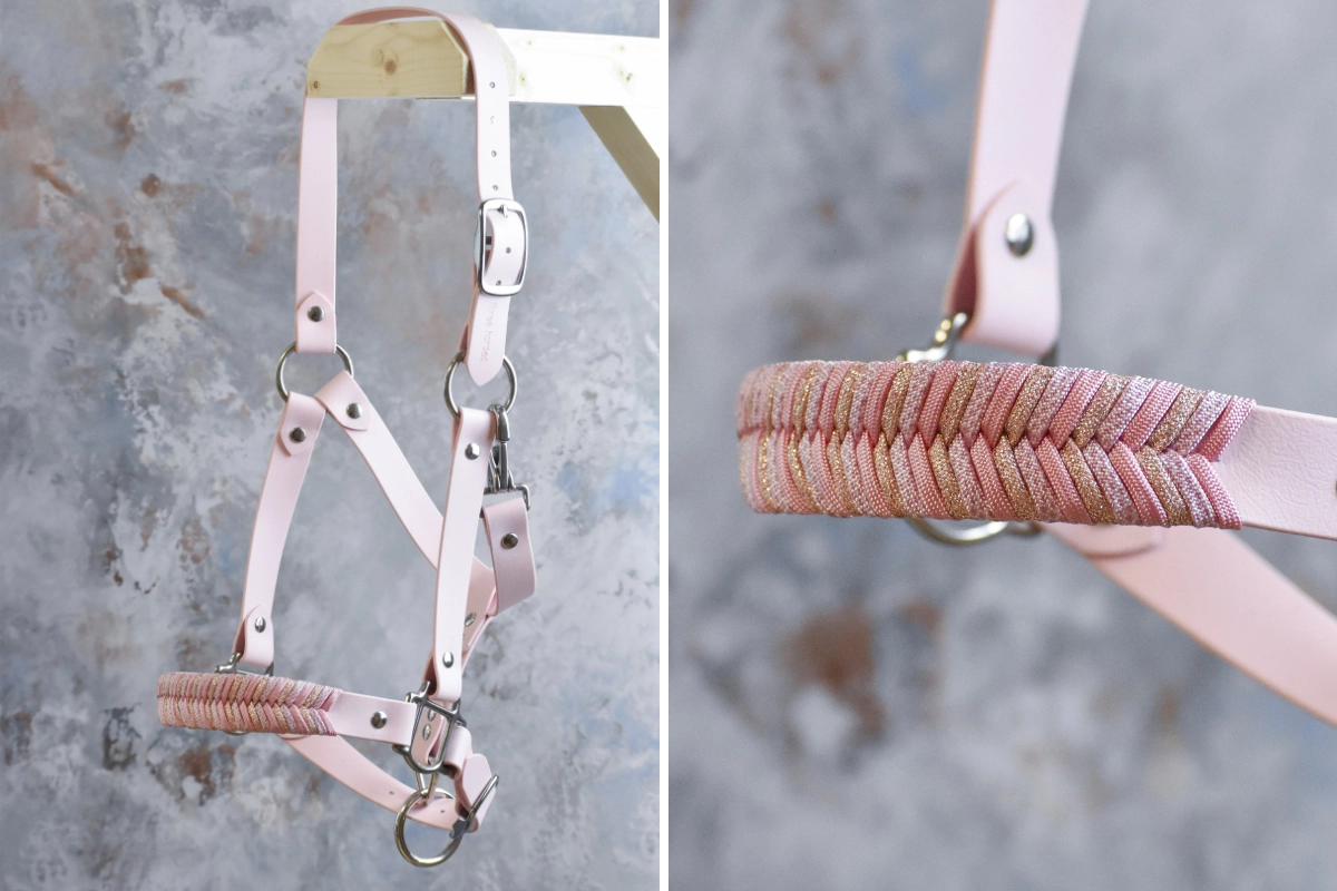 Licol plat en biothane rose pâle Licol plat en biothane rose pâle