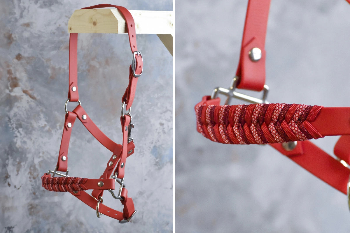 Licol plat en biothane rouge