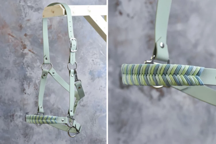 Licol Sauge – Gamme Camaïeu – Taille Cheval