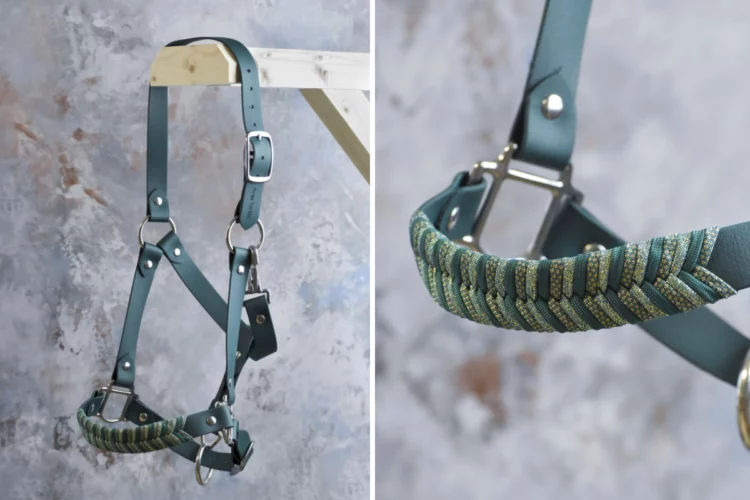 Licol Vert foncé – Gamme Camaïeu – Taille Cob