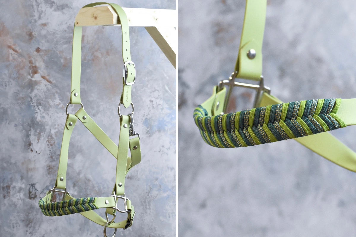 Licol plat en biothane vert