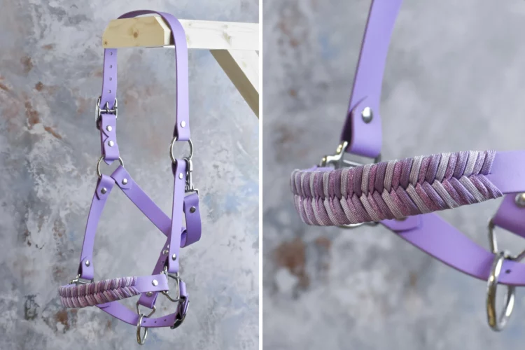 Licol Violet – Gamme Camaïeu – Taille Cob