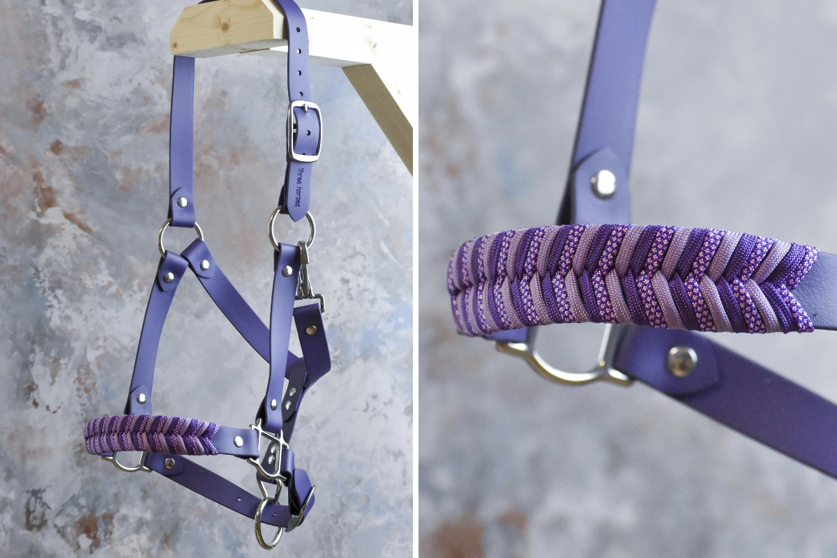 Licol plat en biothane violet foncé