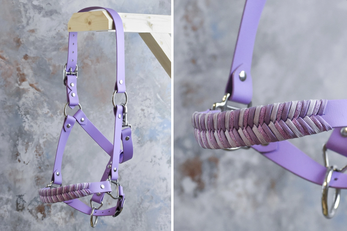 Licol plat en biothane violet