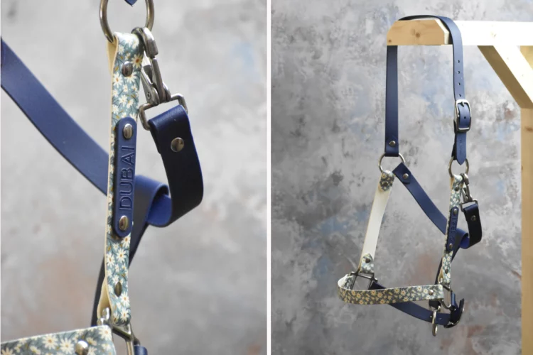 Taille Poney, Cob ou Cheval – Licol plat Marguerite – Collection Eté