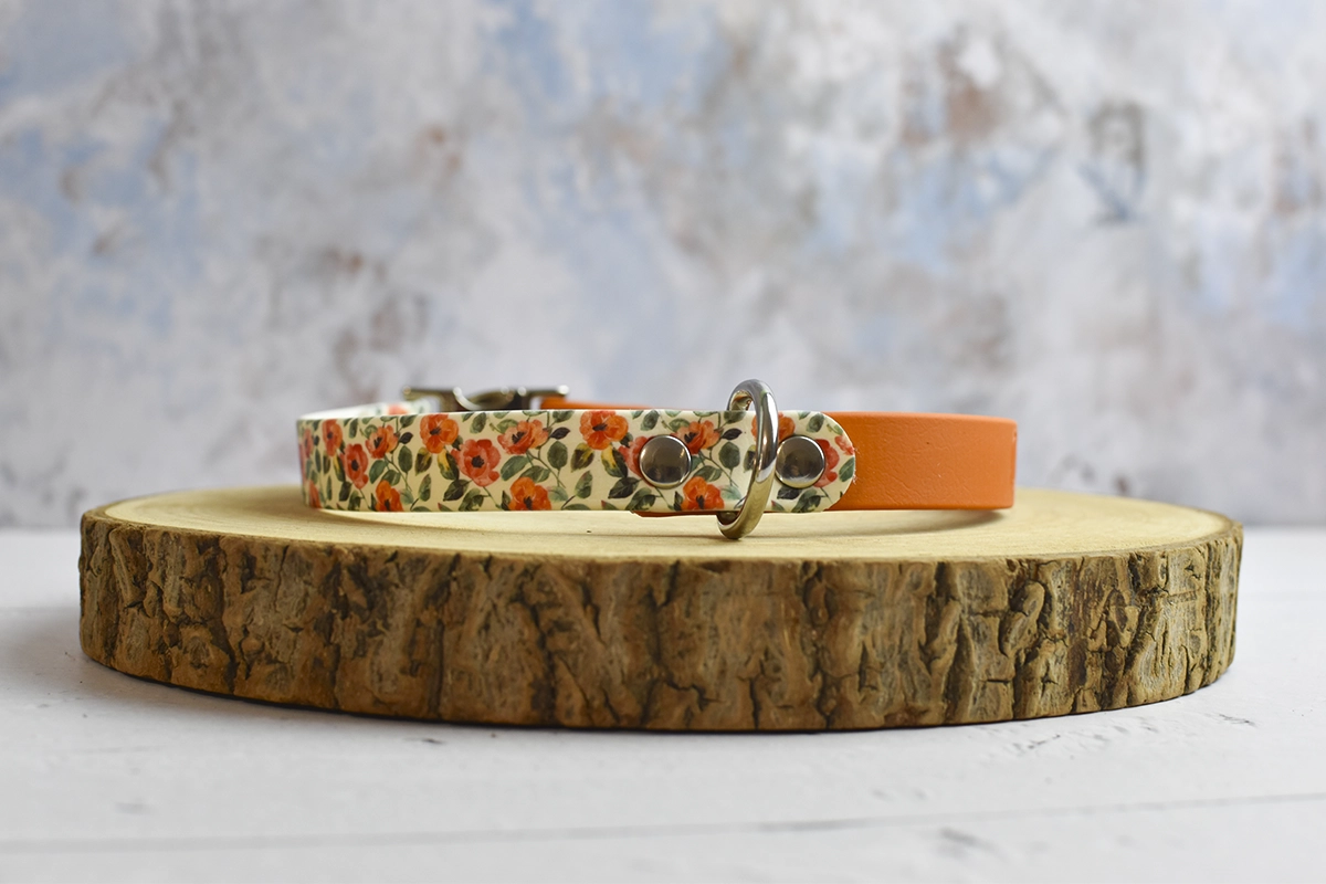 collier pour chien orange collier pour chien orange