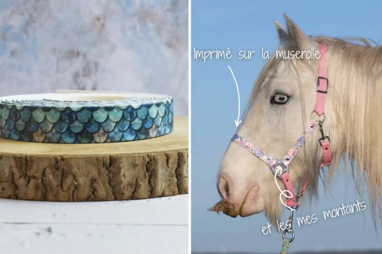 Taille Poney, Cob ou Cheval – Licol plat Sirène – Collection Automne