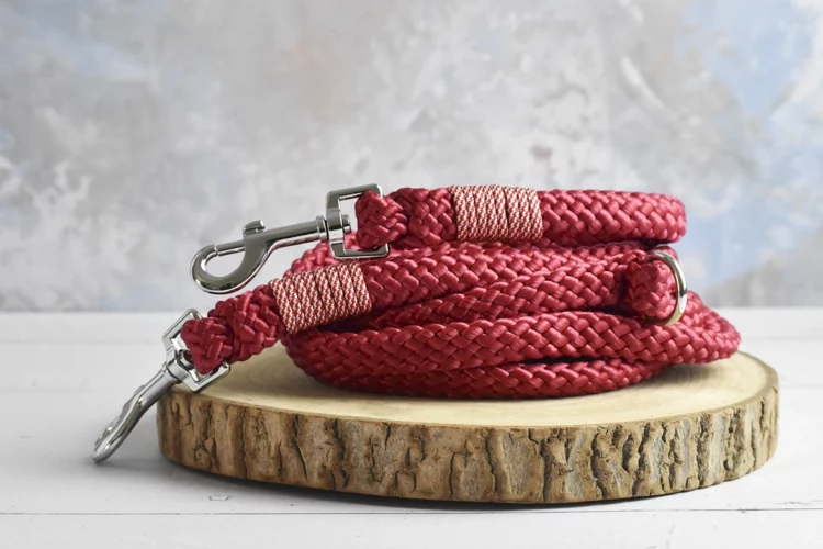 Rênes magiques Rouge framboise 3m