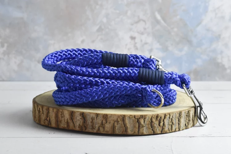 Rênes magiques Bleu 3m