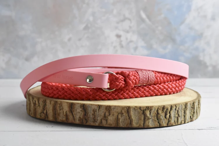 Cordelette Mixte Rouge et Rose pastel 2m