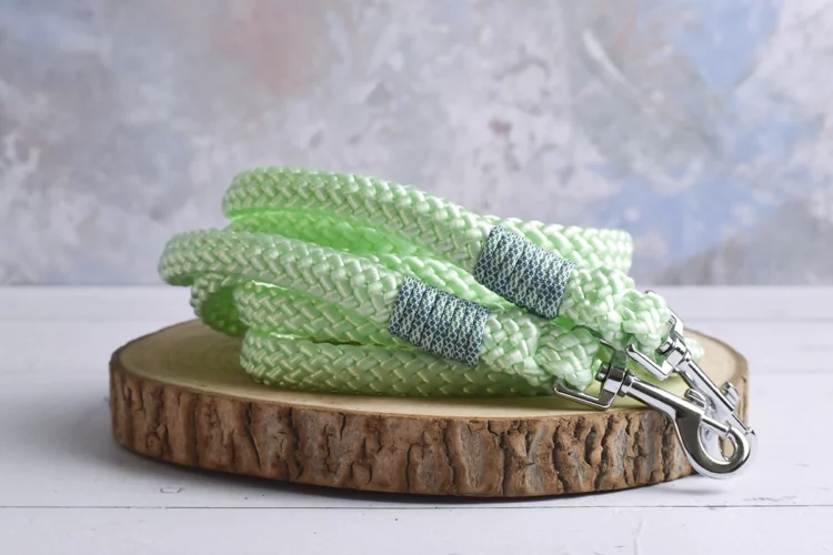 Rênes légères Vert pastel 2m60