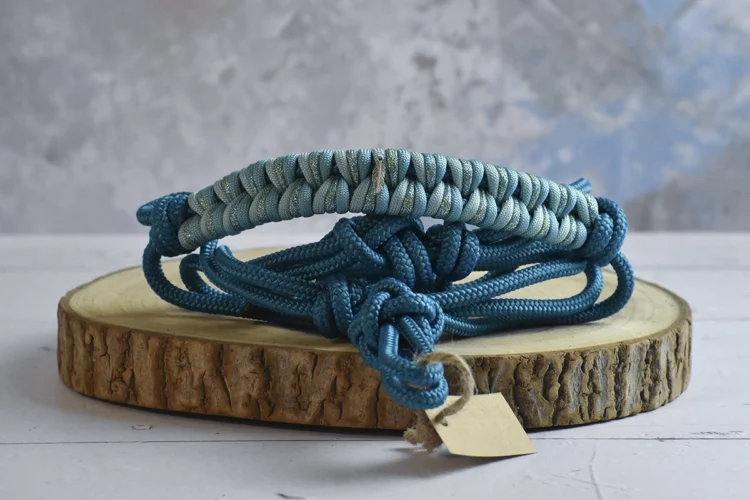 Licol bleu paon à paillettes – Taille Shetland