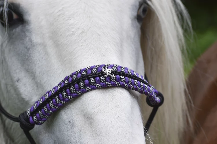 Licol Maléfique – Taille Cheval