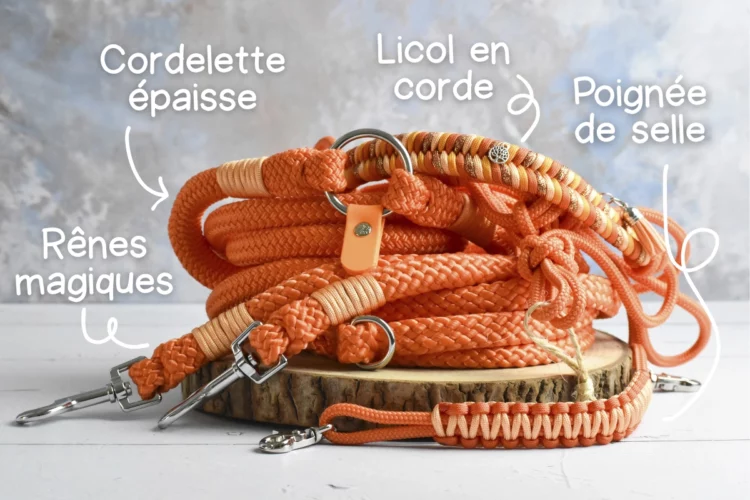 Kit d’équitation extérieure Orange