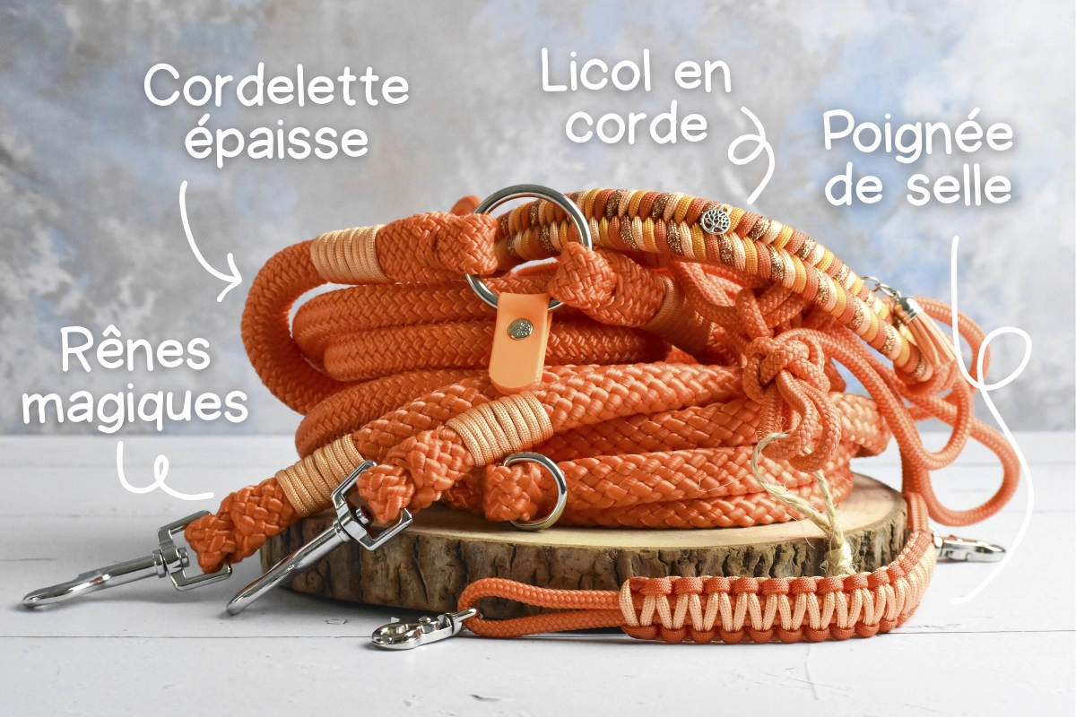 kit éhtologique orange kit éhtologique orange