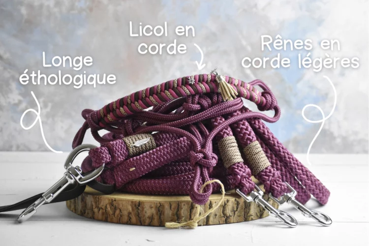 Kit éthologique Aubergine