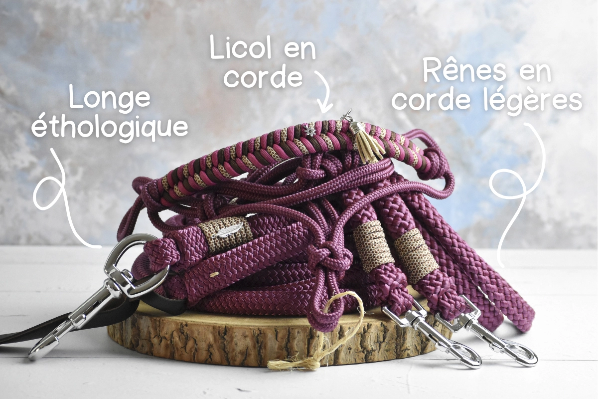 kit éhtologique prune kit éhtologique prune