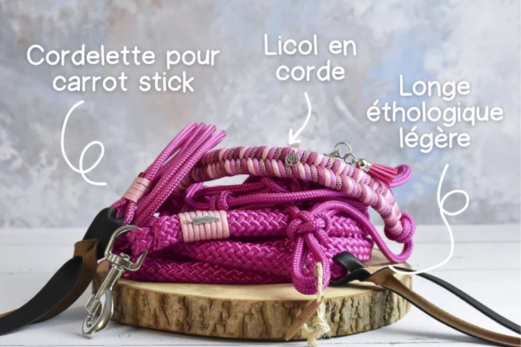 Kit de travail à pied Rose