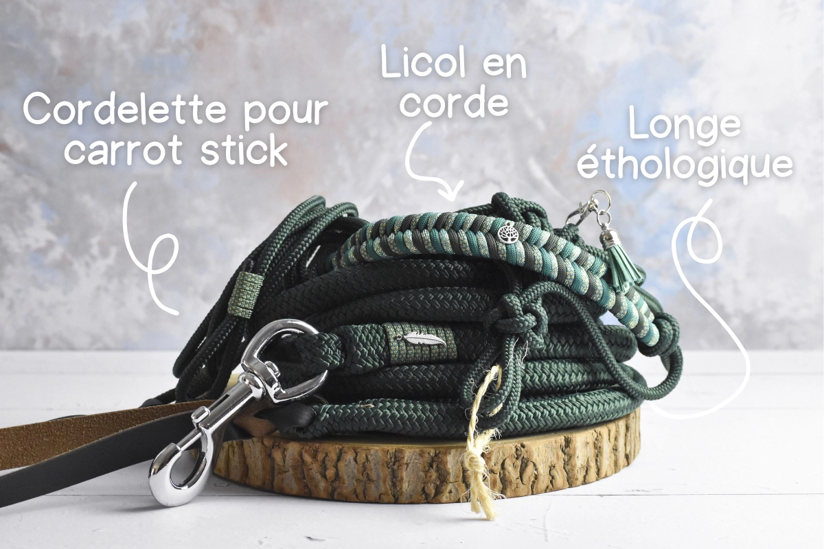 kit éhtologique vert foncé kit éhtologique vert foncé