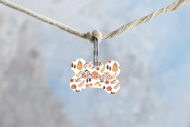 Médaille pour chien automne