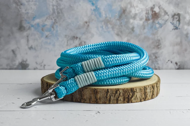Rênes en corde Turquoise 3m