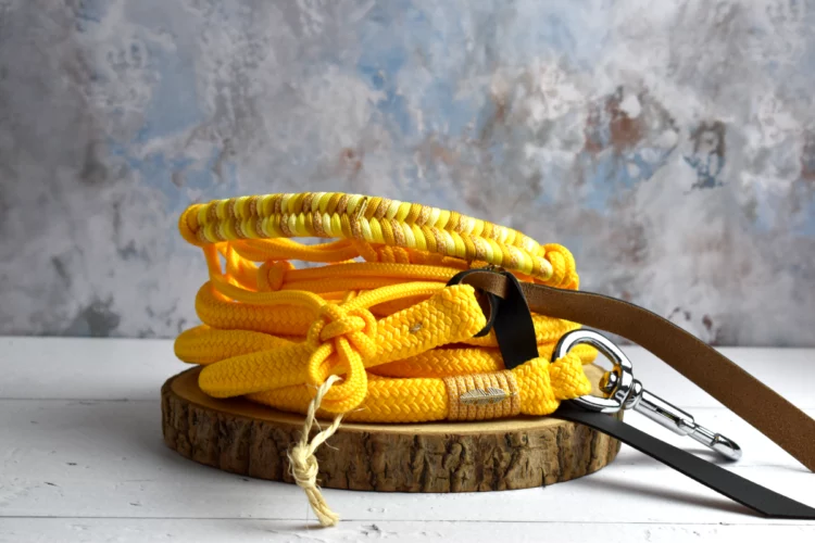 Longe éthologique et licol en corde Jaune – Taille COB