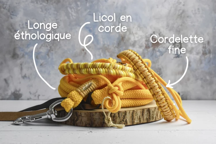 Kit éthologique jaune