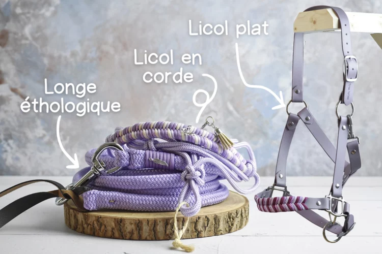 Kit de base Violet pastel