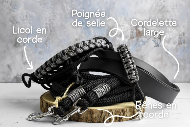 Kit de dressage sans mors Noir