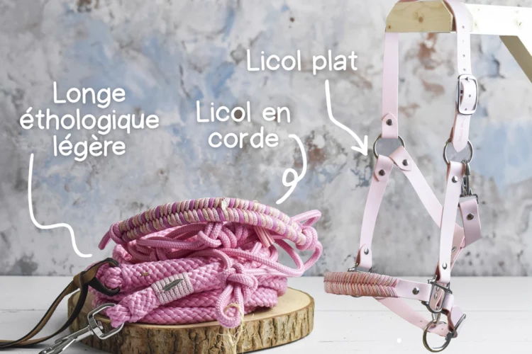Kit de base Rose pastel