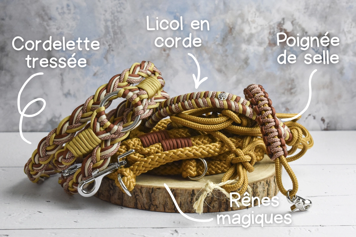 kit éthologique-2