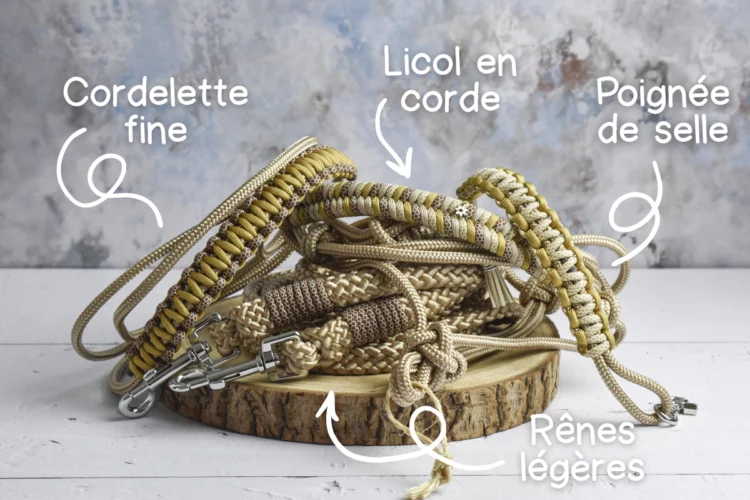 Kit de travail monté Beige- Taille COB