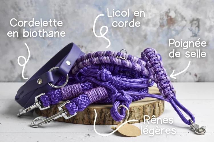 Kit de travail monté Violet foncé – Taille COB