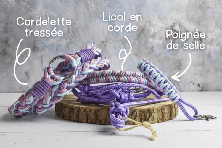 Kit d’équitation sans mors Violet