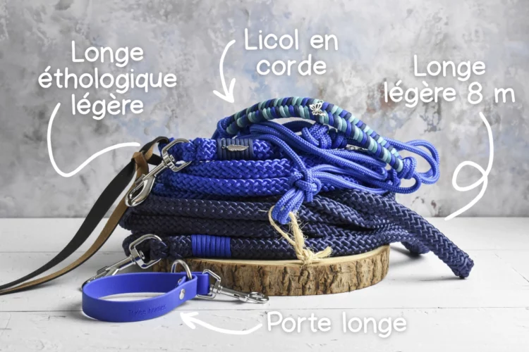 Kit equifeel Bleu