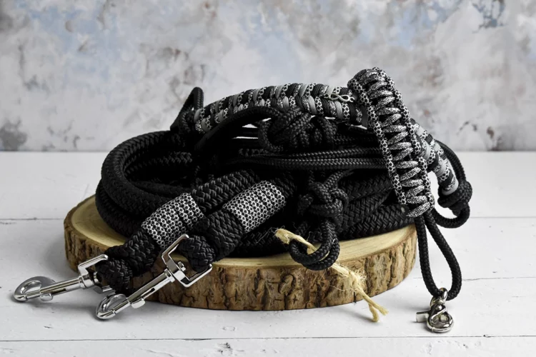 Ensemble sans mors noir – Taille COB