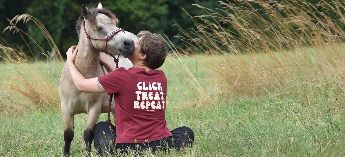 licol en corde shetland